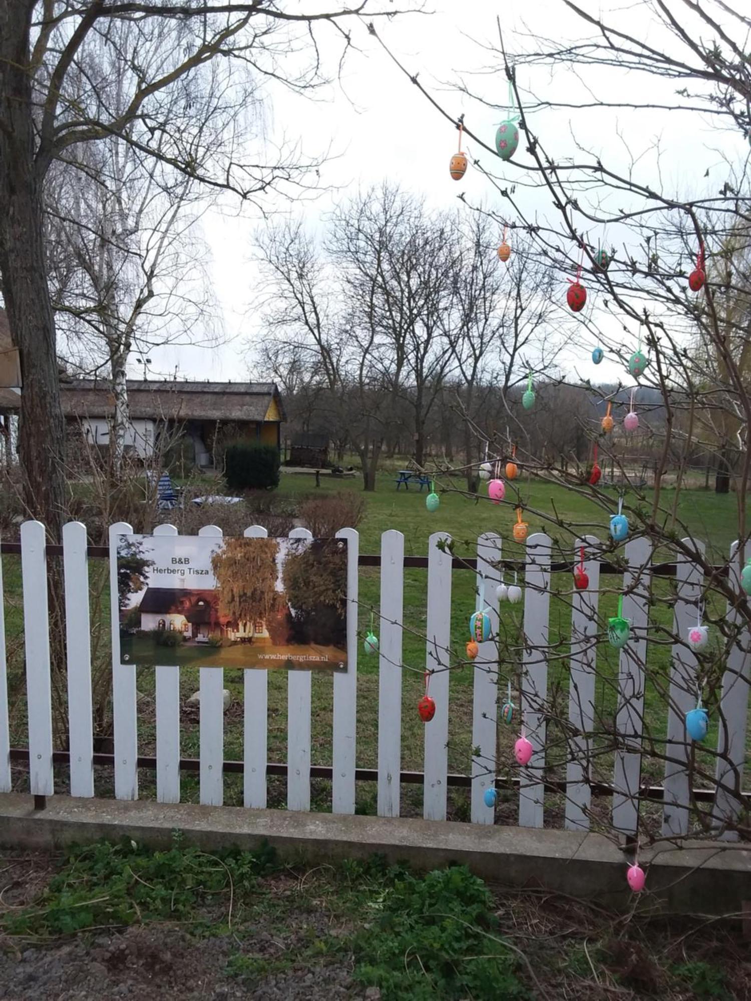 Herberg Tisza Tiszababolna Luaran gambar