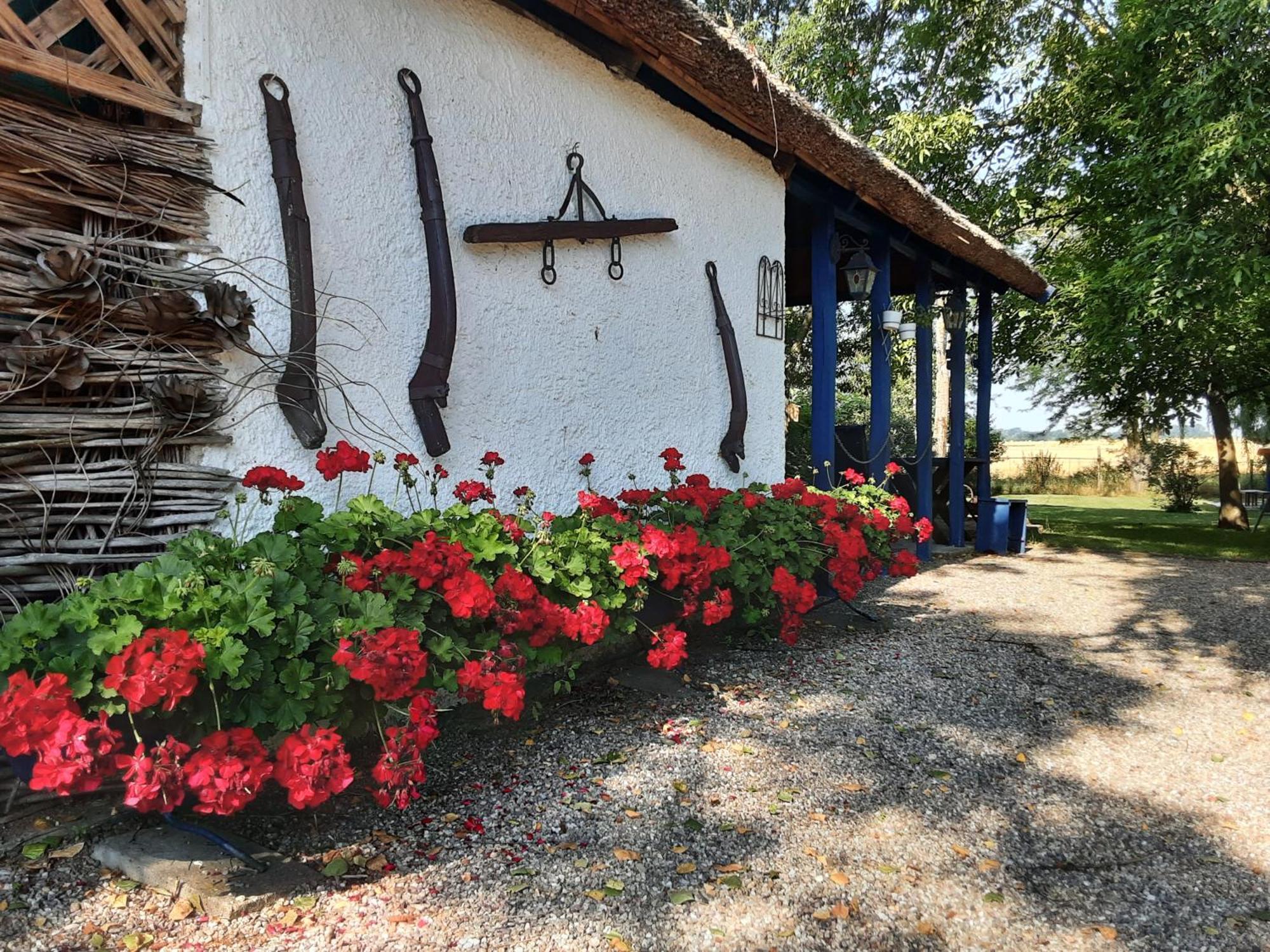 Herberg Tisza Tiszababolna Luaran gambar